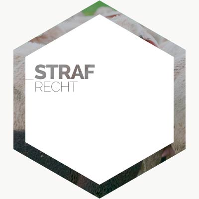 rechtsgebiet_strafrecht_intro